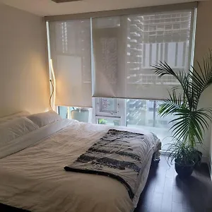 Apartment Beautiful One Bdrm Entertainment District, Toronto